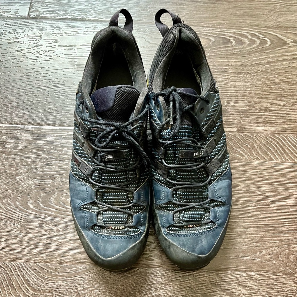 Adidas Terrex hiking approach shoes